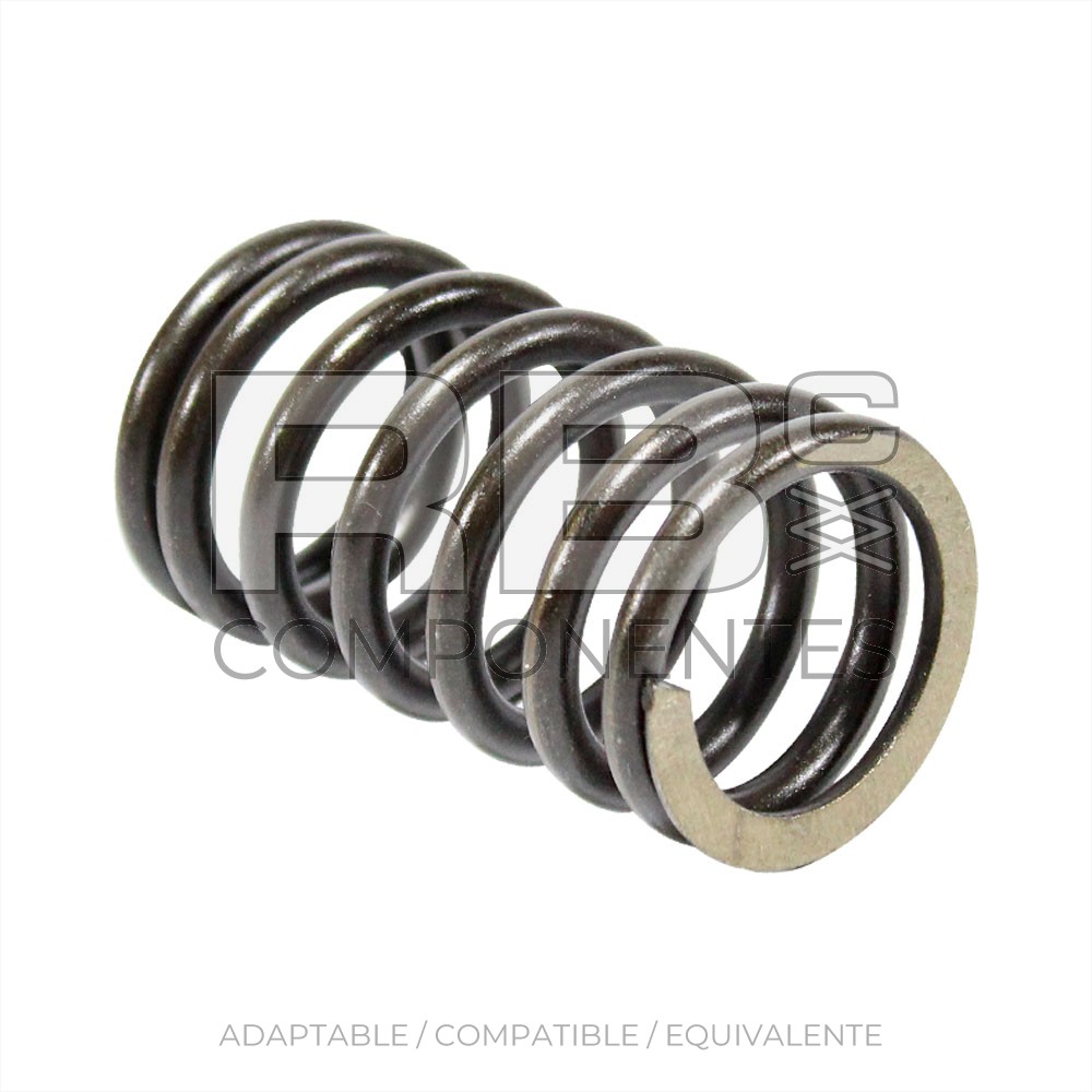MUELLE VÁLVULA ADAPTABLE DTZ BF4M