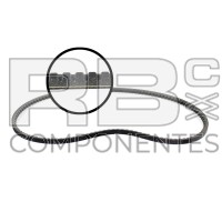 CORREA ALTERNADOR ADAPTABLE DTZ BF4M