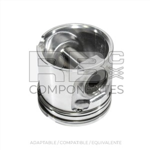 KIT PISTON STD ADAPTABLE DTZ BF4M1