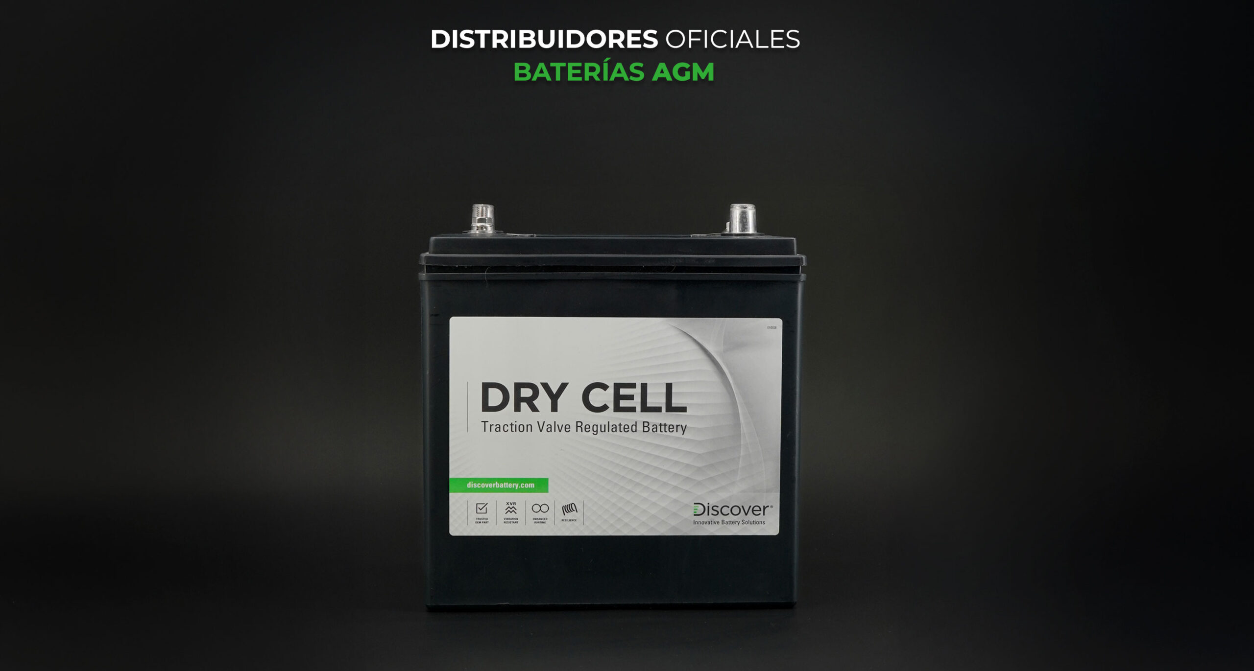 Baterias AGM Dry Cell Componentes